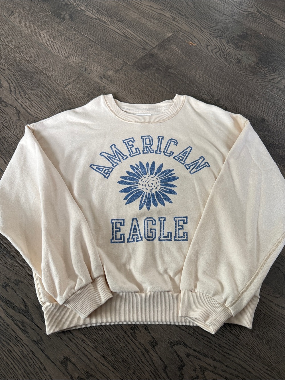 American Eagle Outfitters Cream Sweatshirt with Blue Floral Logo